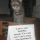 Illustration for article titled Confused Cats on Tumblr Dont Need Feminism Because They Are Cats